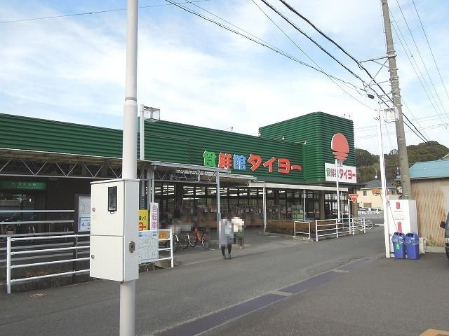 メゾン　エトワールの周辺|食鮮館タイヨーまで850m