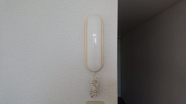 レオパレスコスモスのその他