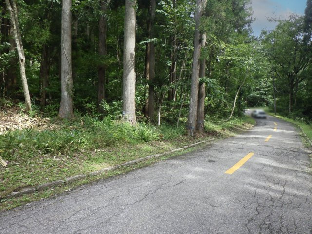 ニューパークひるが野⑩