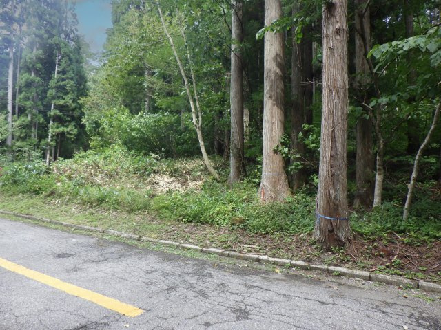ニューパークひるが野⑩の前面道路含む現地写真
