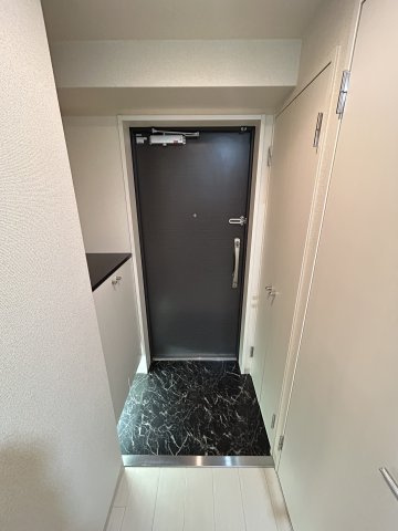 シティヒルズ安堂寺の玄関