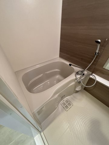 ミラージュパレス本町Departの浴室