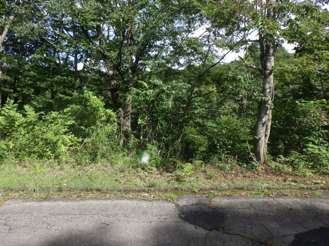 ニューパークひるが野⑪の外観