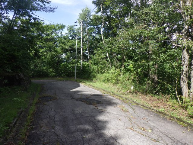 ニューパークひるが野⑪の前面道路含む現地写真