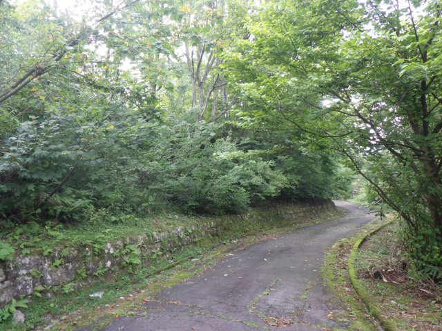 ニューパークひるが野⑪の前面道路含む現地写真