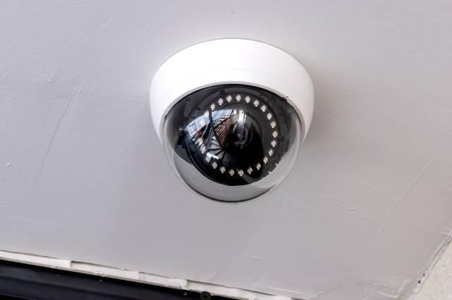 Ｈａｇａｎｅのその他