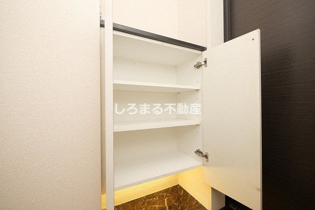 シティヒルズ安堂寺の収納