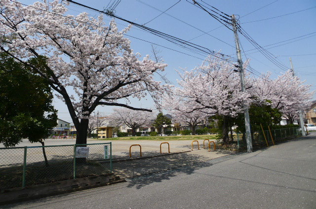 ファミール南流山のその他|南流山8号公園