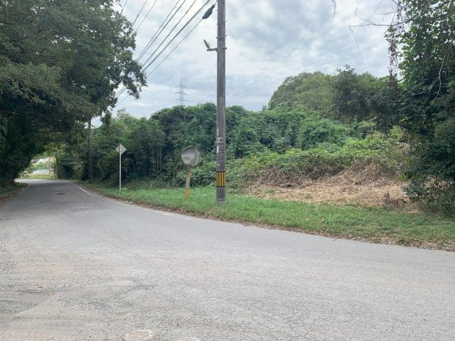 宇部市中山線　山林等の前面道路含む現地写真