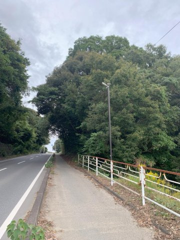 宇部市中山線　山林等の前面道路含む現地写真