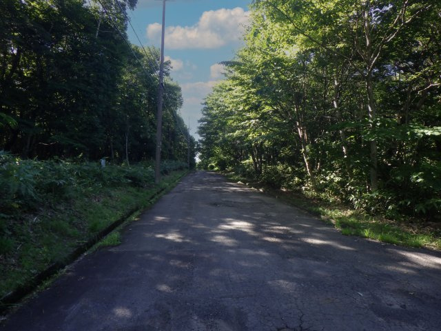 羽鳥湖平和郷別荘地⑦の前面道路含む現地写真