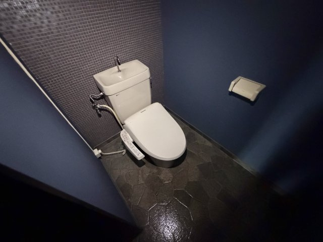 ダンディビルのトイレ