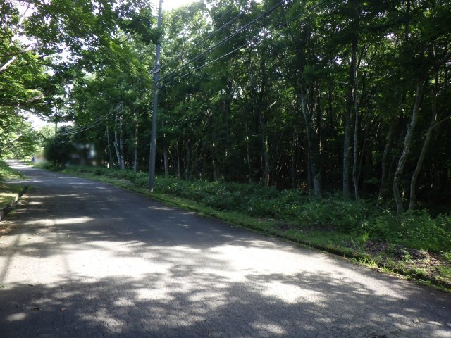 羽鳥湖平和郷別荘地⑧の前面道路含む現地写真