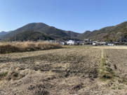 兵庫県赤穂市新田字十五ノ前「田」の画像