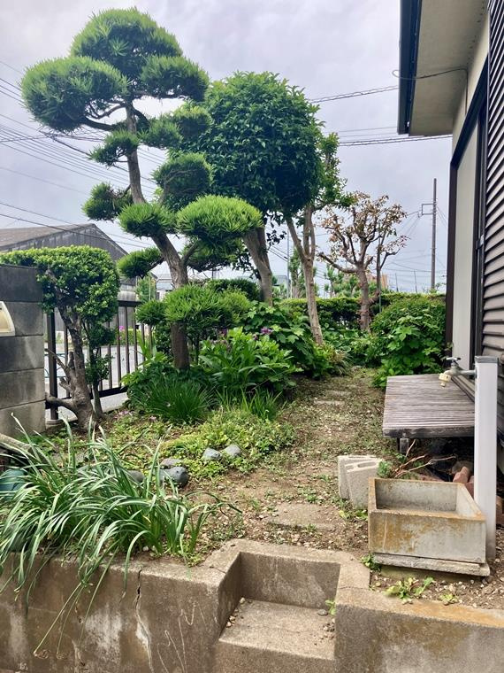 小山町戸建の庭