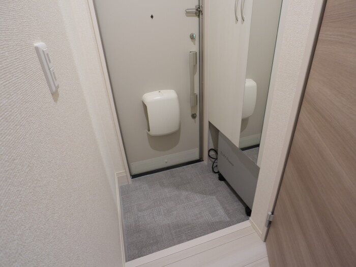 セレスティンワール A棟の玄関|玄関