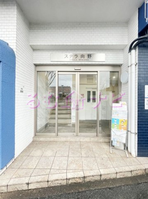  | ステラ向野