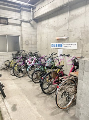 | ステラ向野