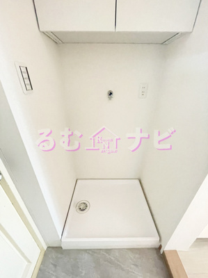  | ステラ向野