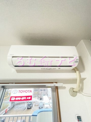  | ステラ向野