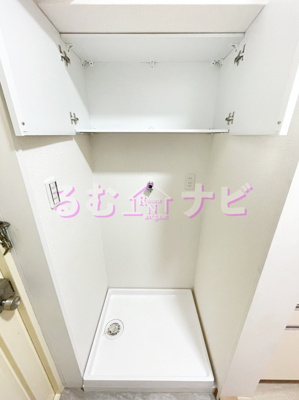  | ステラ向野