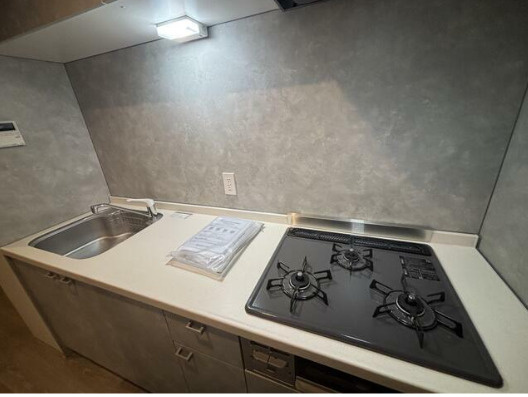 ＴＡＳＵＫＩ　ＲＩＣＨＥＳＳＥ洗足のキッチン