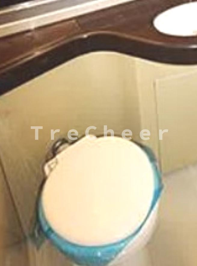 ワコーレエレガンス西高島平のトイレ