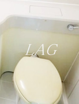 【トイレ】 | ドミトリー原町田 | トイレです。