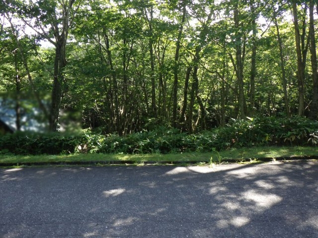羽鳥湖平和郷別荘地⑨