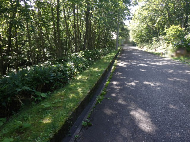 羽鳥湖平和郷別荘地⑨の前面道路含む現地写真
