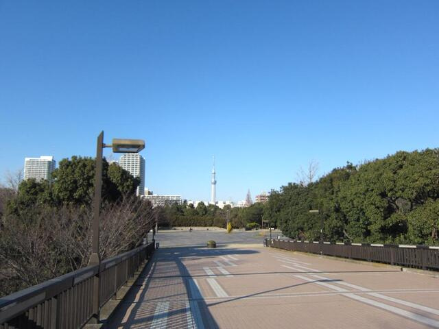木場親水公園まで222m