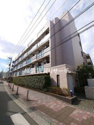  | スタイリオフィット新綱島