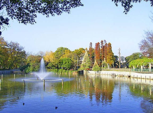 【その他】 | フォルス学芸大学ラクシーズ | 碑文谷公園（学芸大学）