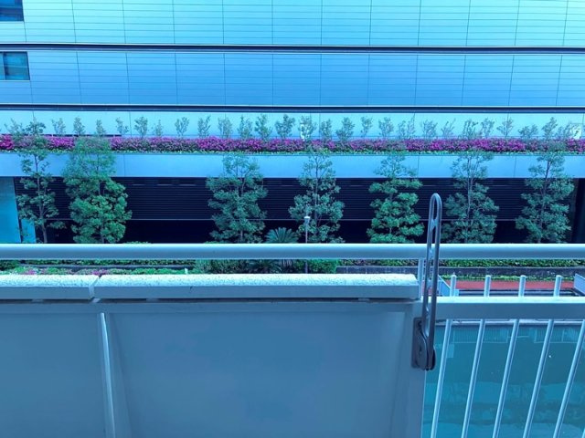 三田ナショナルコートのバルコニー
