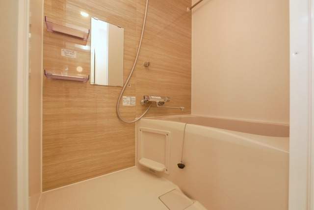 アドバンス難波南ワイズの浴室