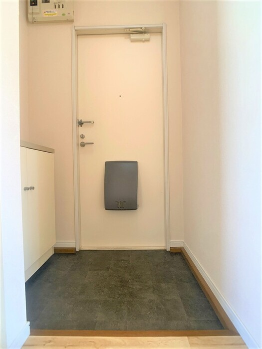 アペックス日進の玄関|シューズボックス