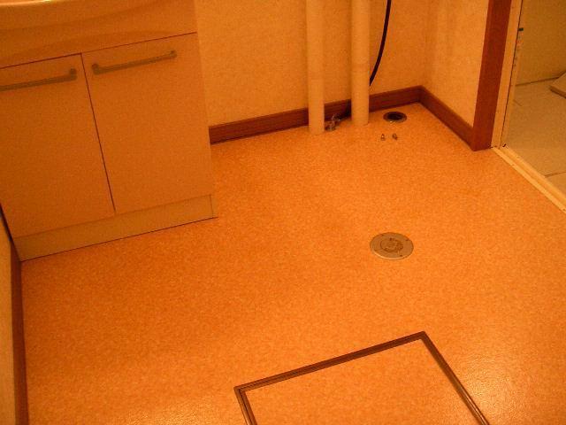 ヴァイオレットハイツの洗面所