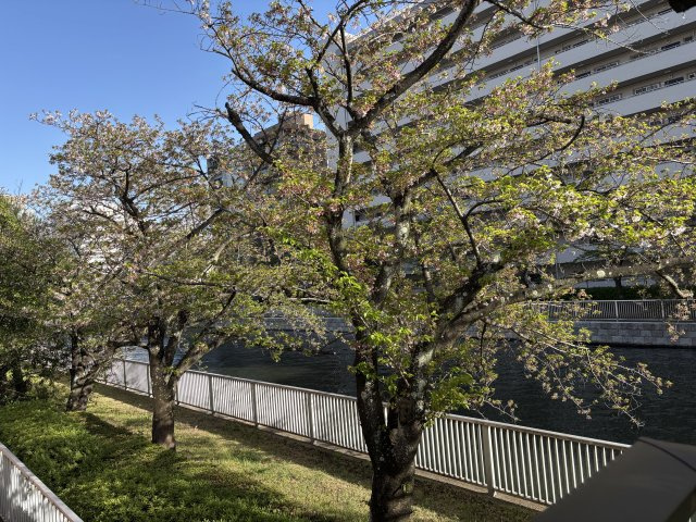 【物件からの展望】