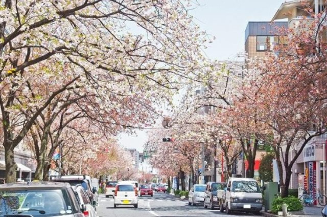 【周辺】 | メイツ桜新町 | 桜新町商店街