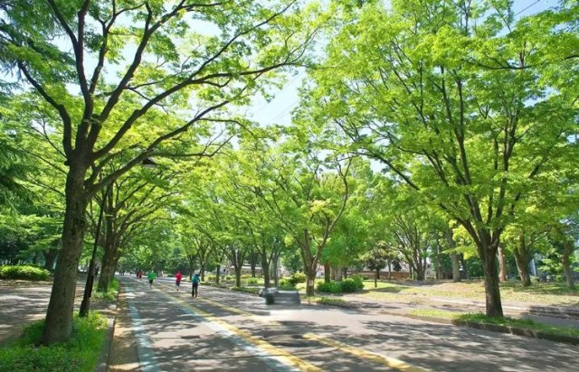 【周辺】 | メイツ桜新町 | 駒沢公園