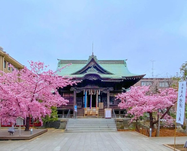 【その他】 | メイツ桜新町 | 桜神宮