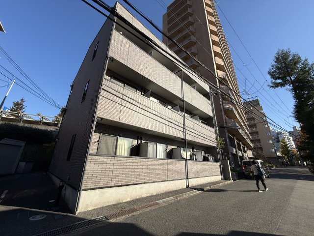 アンプルールフェールカメリア