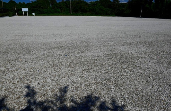 袖ヶ浦市蔵波　土地の外観