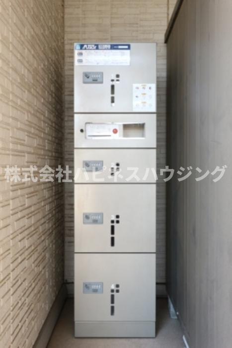 ヴァンテkodaのその他