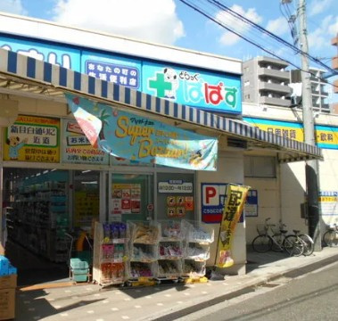 チェスターハウス目白の周辺