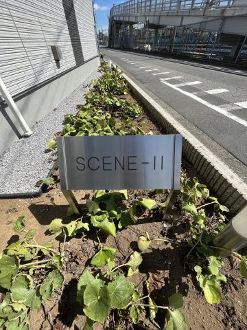 SCENEⅡの庭
