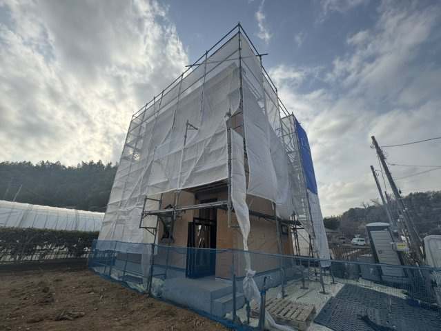 ロイス・ルーエの画像