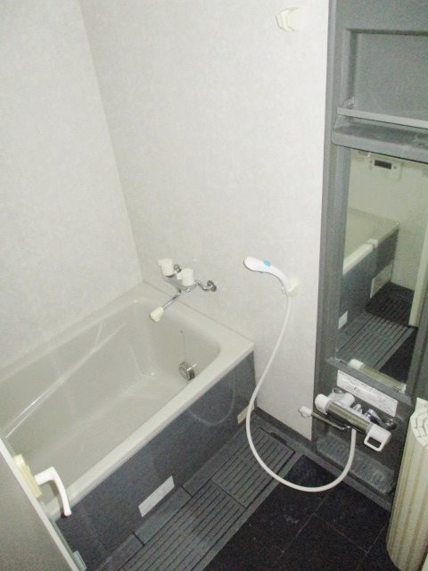 メゾンフリジアの浴室