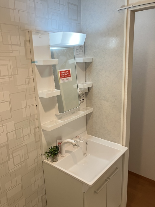 セジュール島田　B棟の洗面所