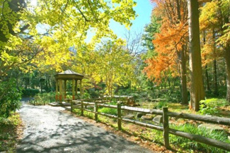 【周辺】 | 林試の森公園